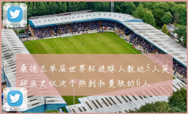 桑德兰单届世界杯进球人数达5人英超历史仅次于热刺和曼联的6人